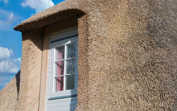 Cwmwdig Water thatch roof disadvantages